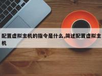 配置虚拟主机的指令是什么,简述配置虚拟主机